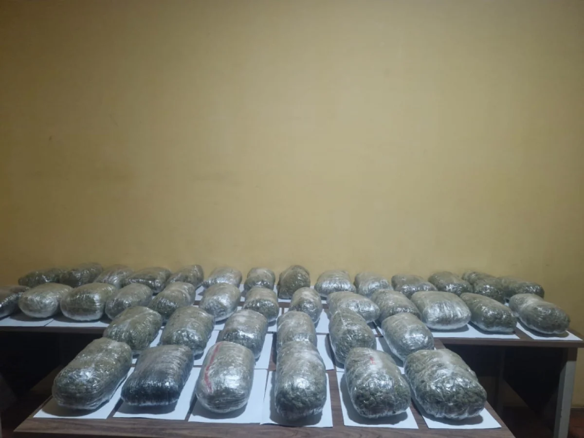 Külli miqdarda narkotik vasitənin ölkə ərazisinə keçirilməsinin qarşısı alınıb