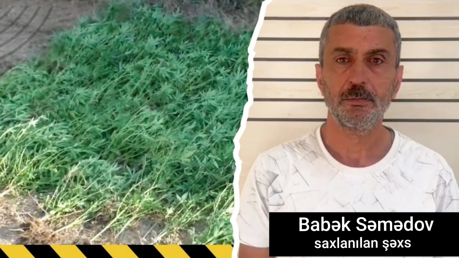 Man arrested for illegal cannabis cultivation in Masalli