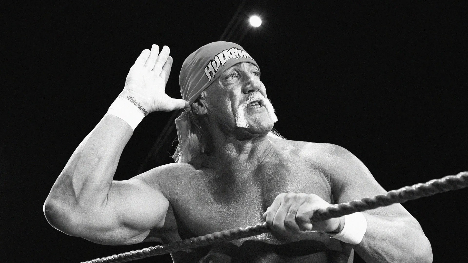 Hulk Hogan