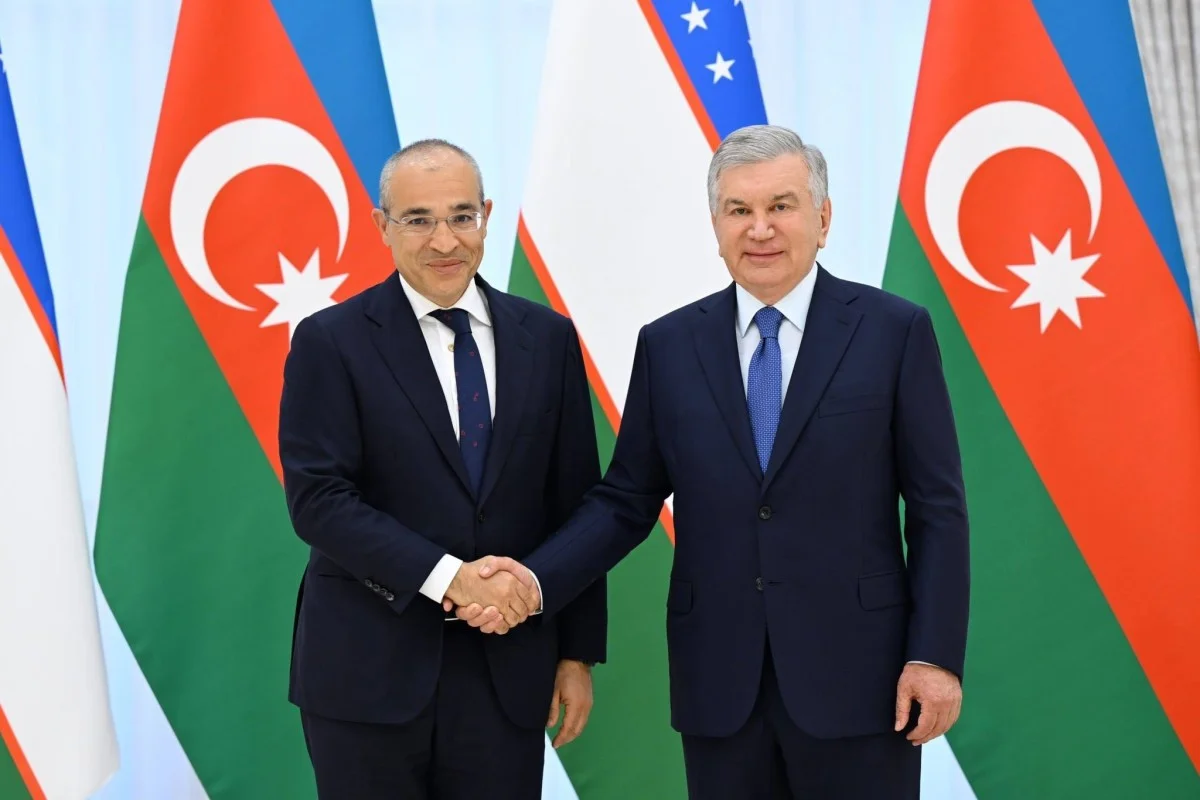 Mikayıl Cabbarov Şavkat Mirziyoyev tərəfindən qəbul olunub