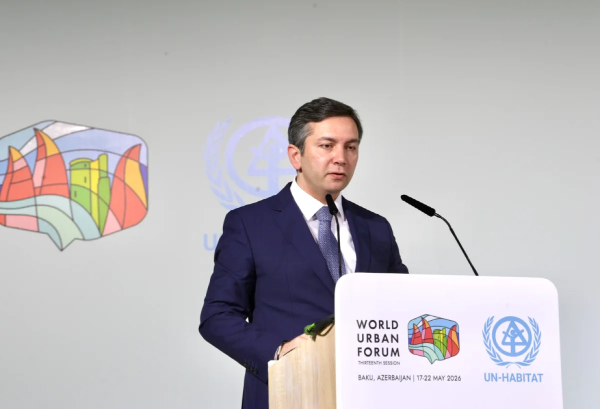 Nazir müavini: Böhranın həlli üçün vacib şərt açıqlandı