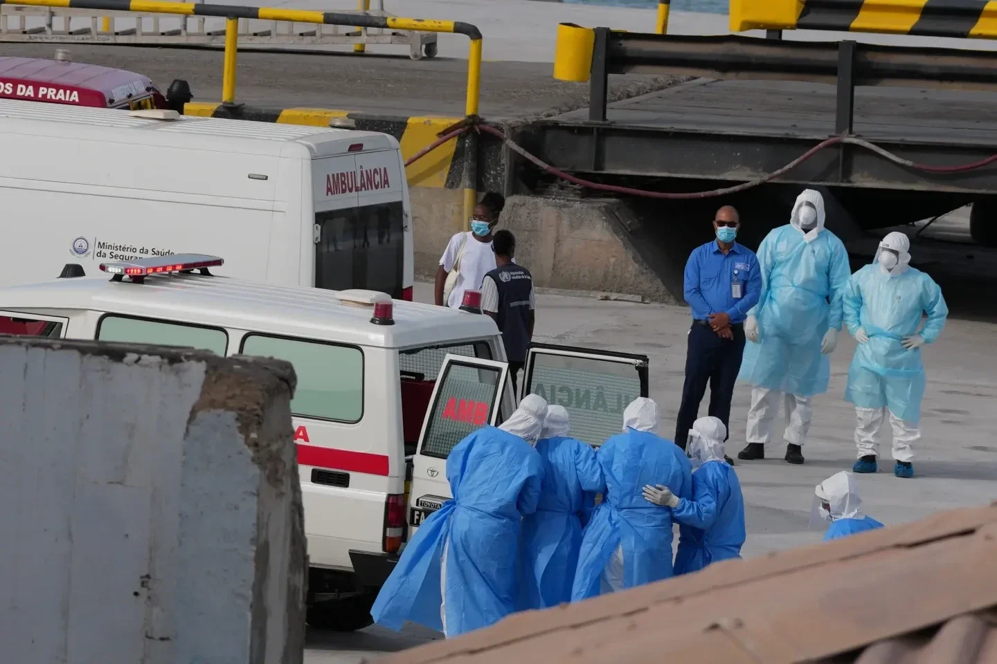 Niderlandda hantavirus səbəbindən 12 tibb işçisi karantinə alındı