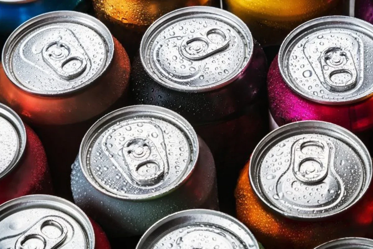 Ombudsman energetik içki cərimələrinin artırılmasını təklif etdi