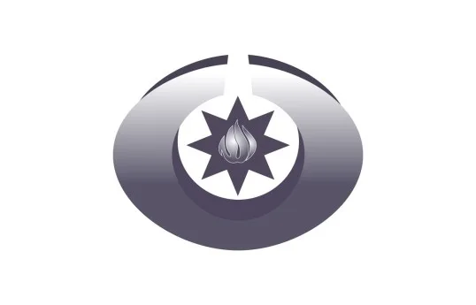 Ombudsman illik məruzəni Prezidentə təqdim etdi