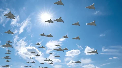 Polşa və Ukrayna birgə pilotsuz təyyarələr armadası yaradır