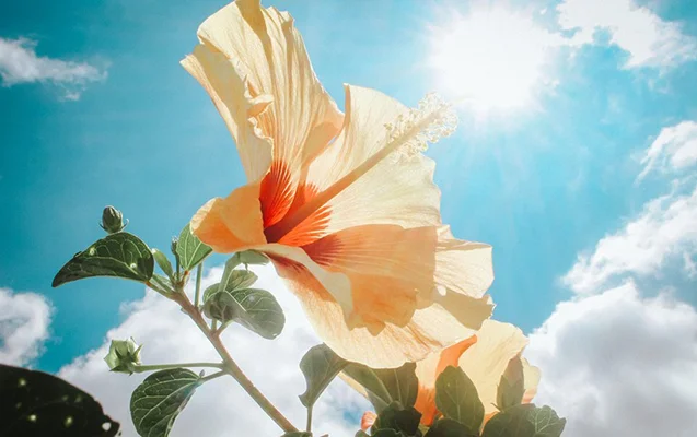 Azerbaijan to see temperatures rise to 22 degrees Celsius