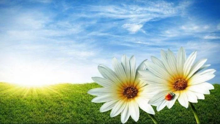 Temperatures to reach 39°C in Azerbaijan amid heat warning