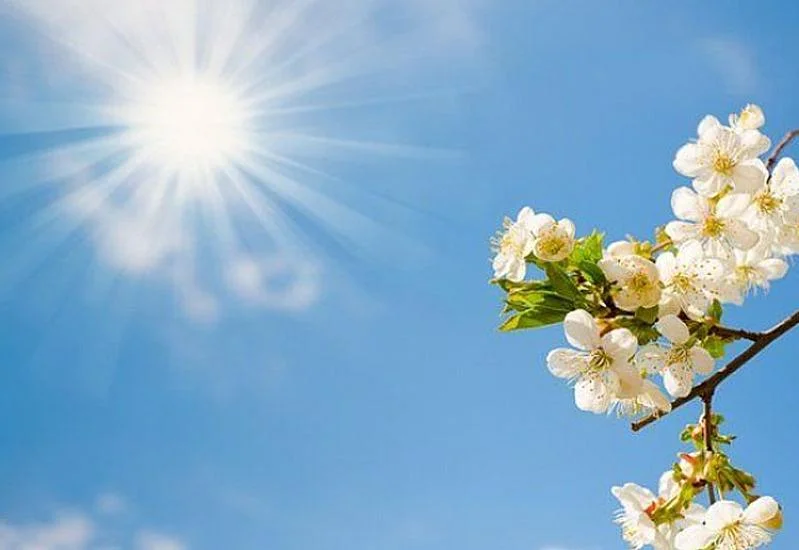 Sabah hava 25 dərəcə olacaq - PROQNOZ