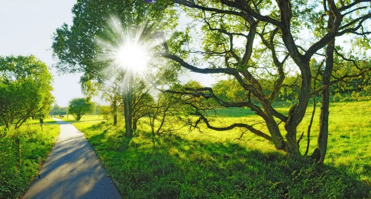 Sabah hava 28 dərəcə isti olacaq