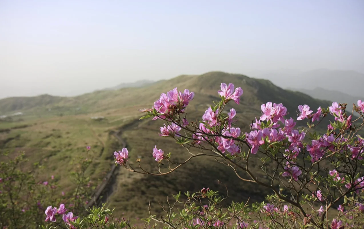 Sabah hava isinir, temperatur 17 dərəcəyə çatacaq