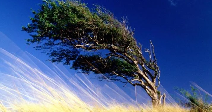 Sabahdan külək güclənəcək - XƏBƏRDARLIQ