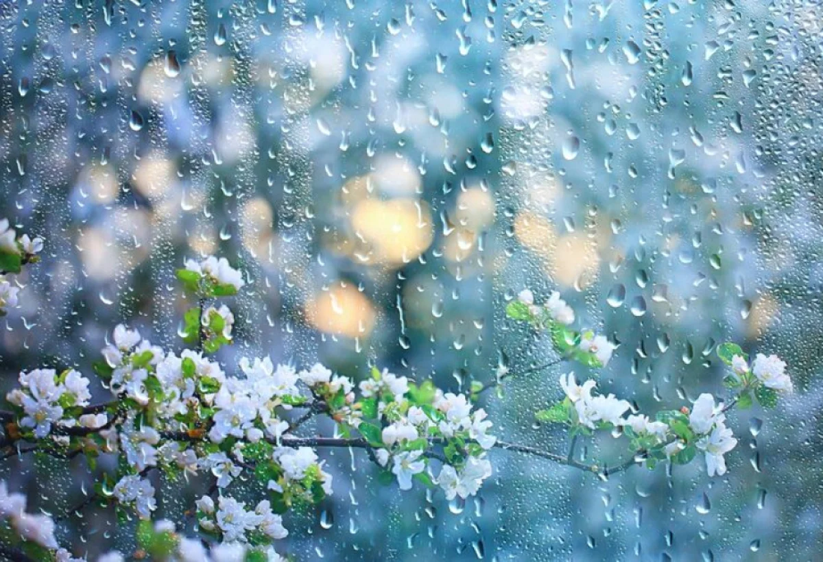 Прогноз погоды в Азербайджане: ожидаются дожди и грозы