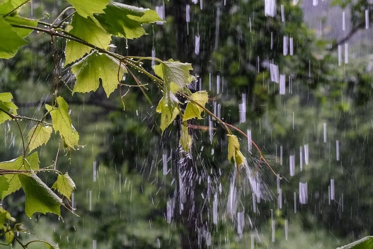 Sabahın hava proqnozu: Ölkə ərazisində yağış yağacaq