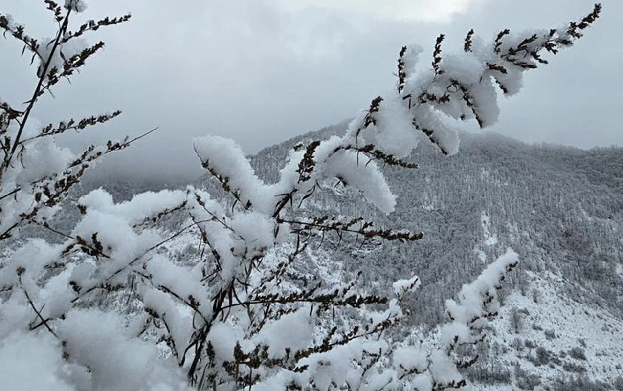 Şahbuzda qar 37 sm-ə çatdı, yollarda duman var