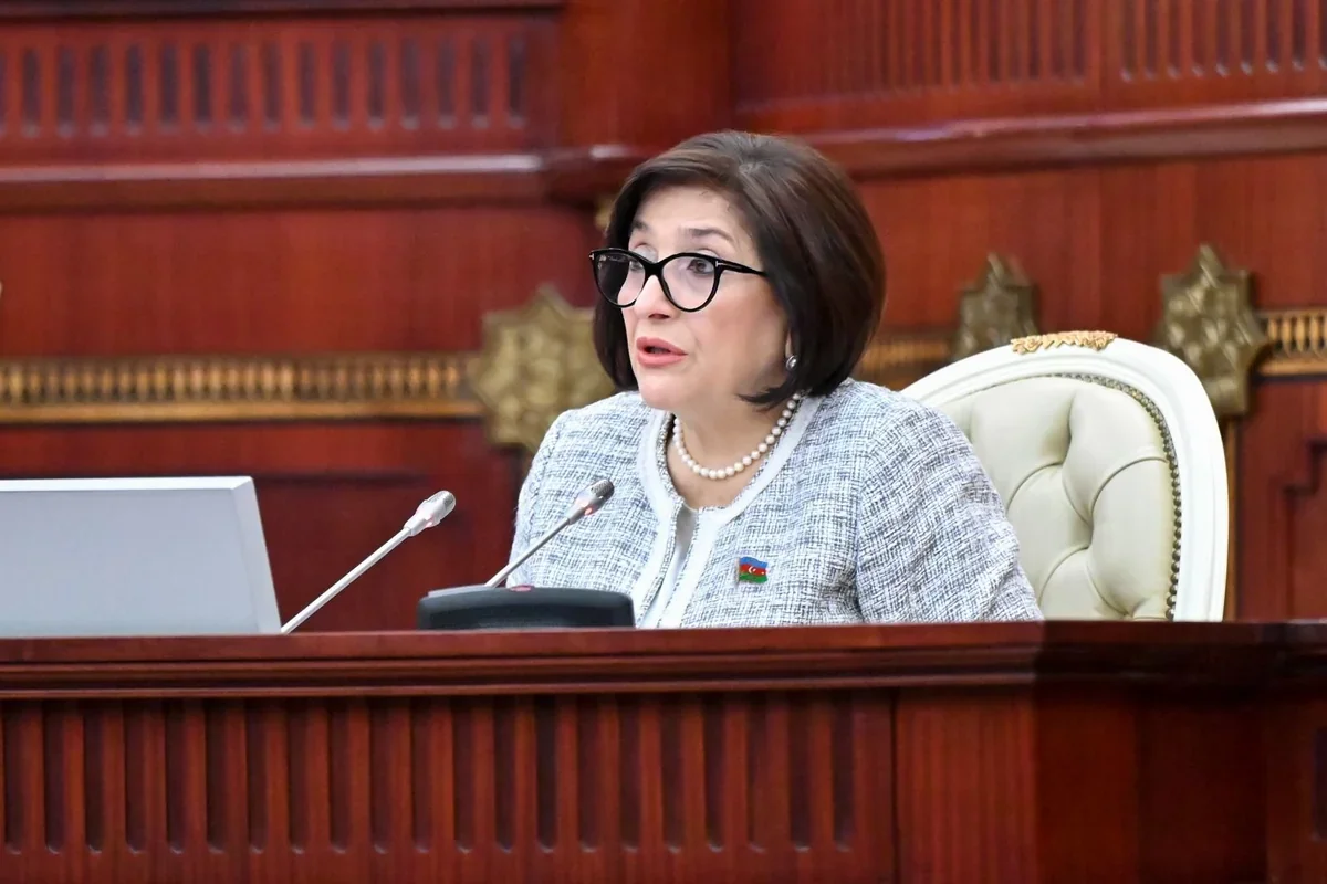 Sahibə Qafarova: Heydər Əliyev Azərbaycanı parçalanmaqdan xilas etdi
