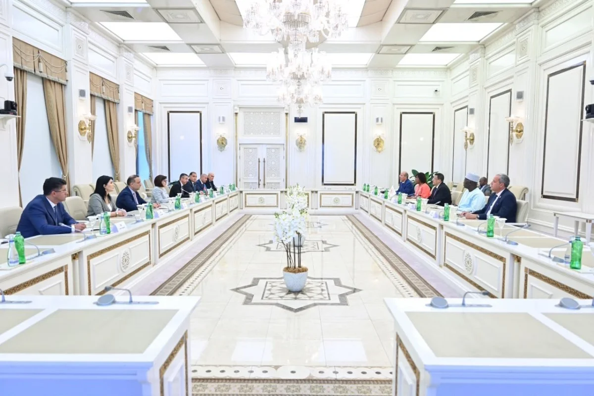 Sahiba Gafarova meets Pan-African Parliament president