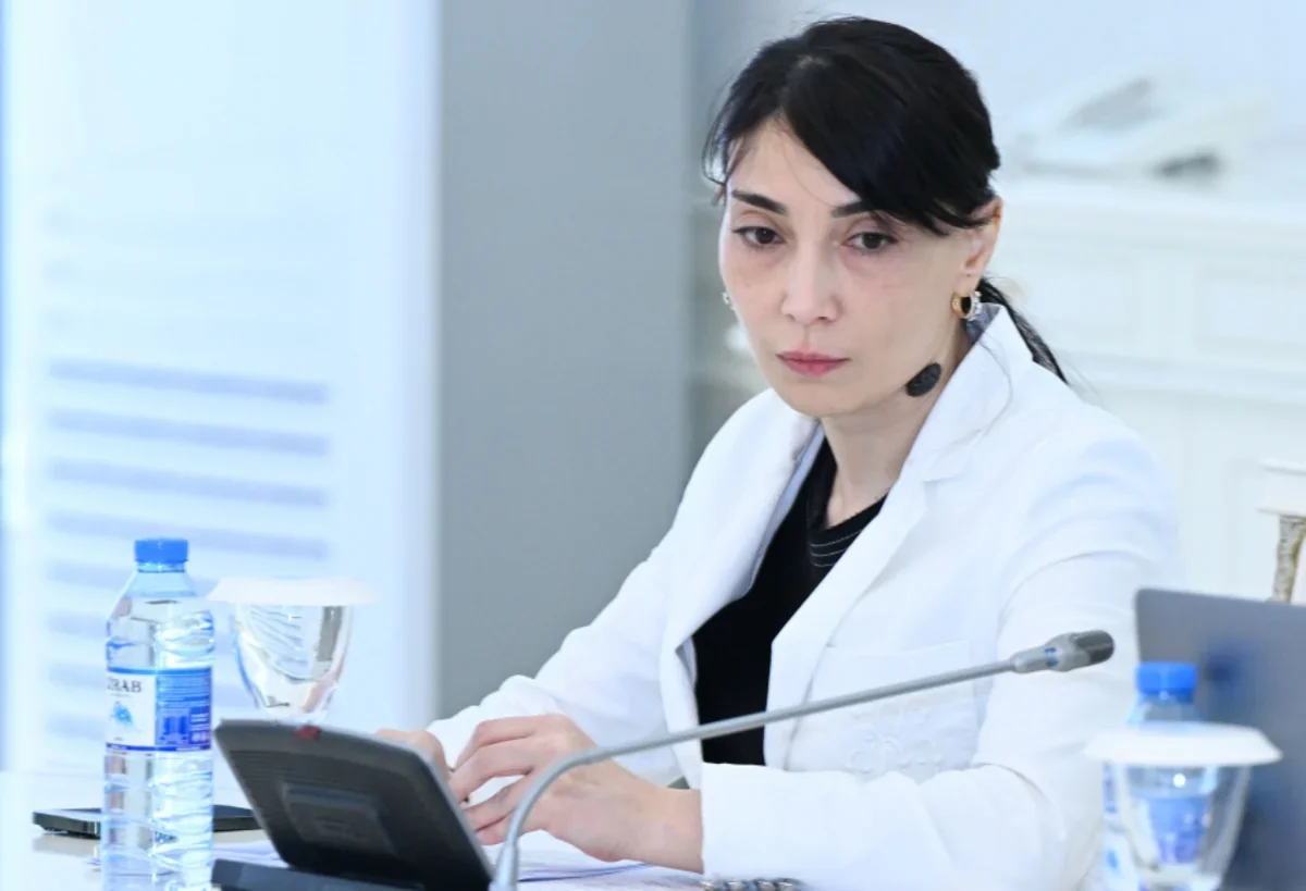 Səkinə Əliyeva: Hüquqi baza formalaşır