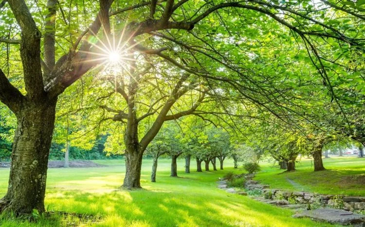 Temperatures to reach 35 degrees in Azerbaijan this weekend