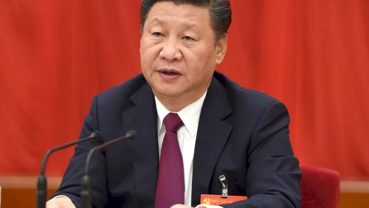 Si Cinpin ŞƏT ilə qlobal yaşıl inkişafı dəstəkləyəcək