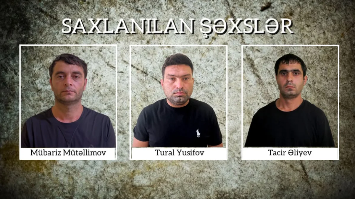 Şirvanda naqil oğurlayan şəxslər həbs edilib