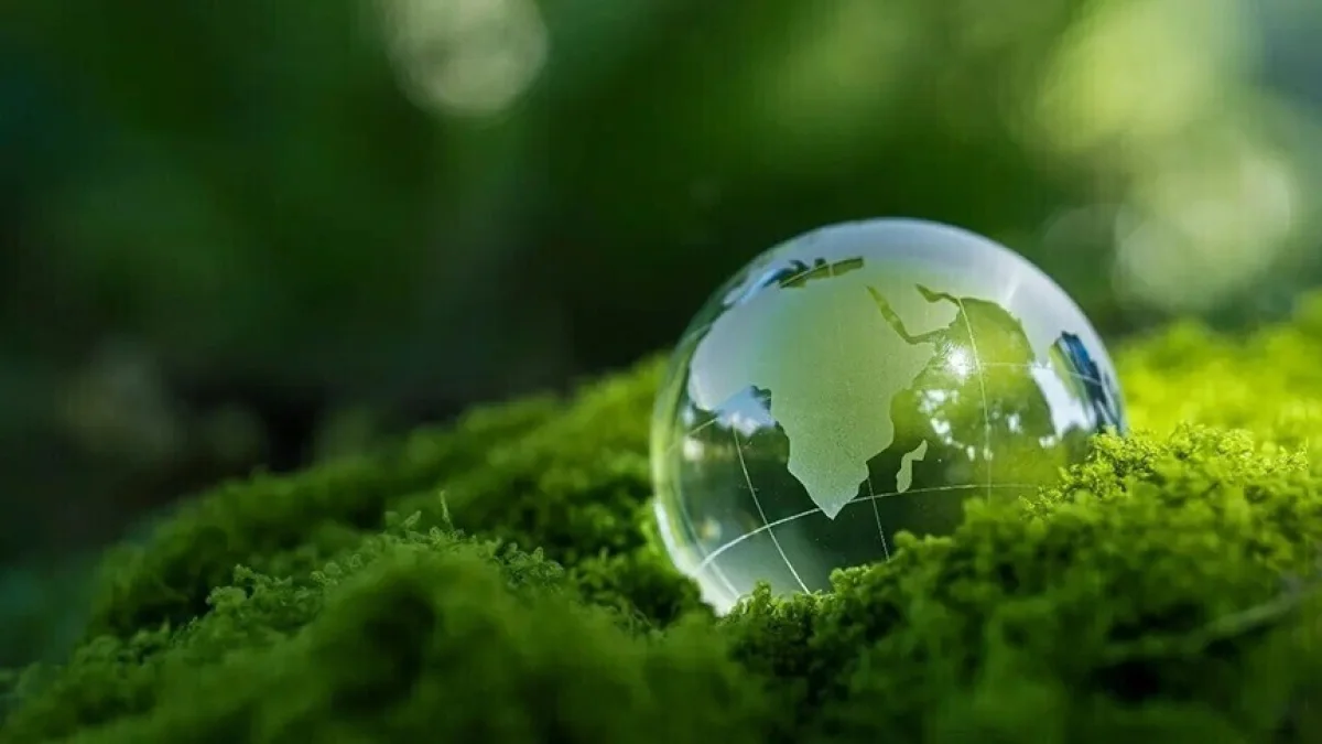 Türkiye promotes COP31 presidency in New York ahead of Antalya summit