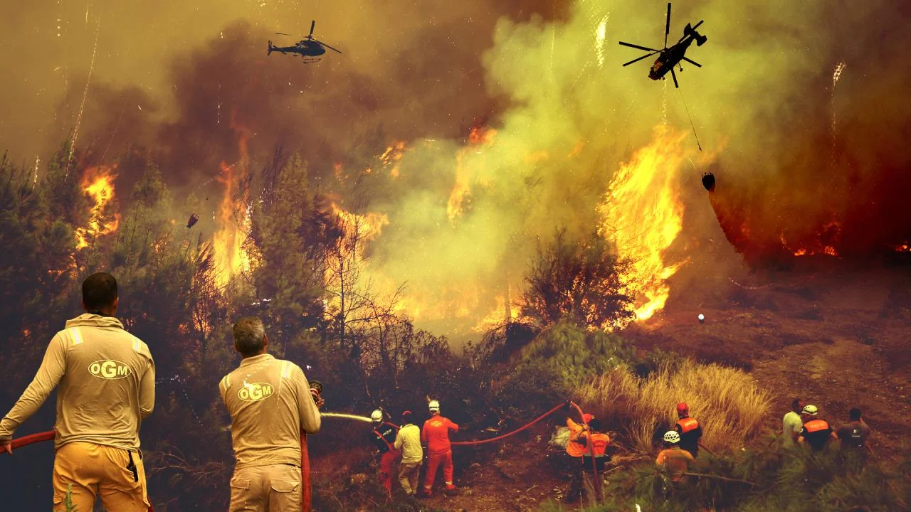 Forest fires in Türkiye damage 65 buildings