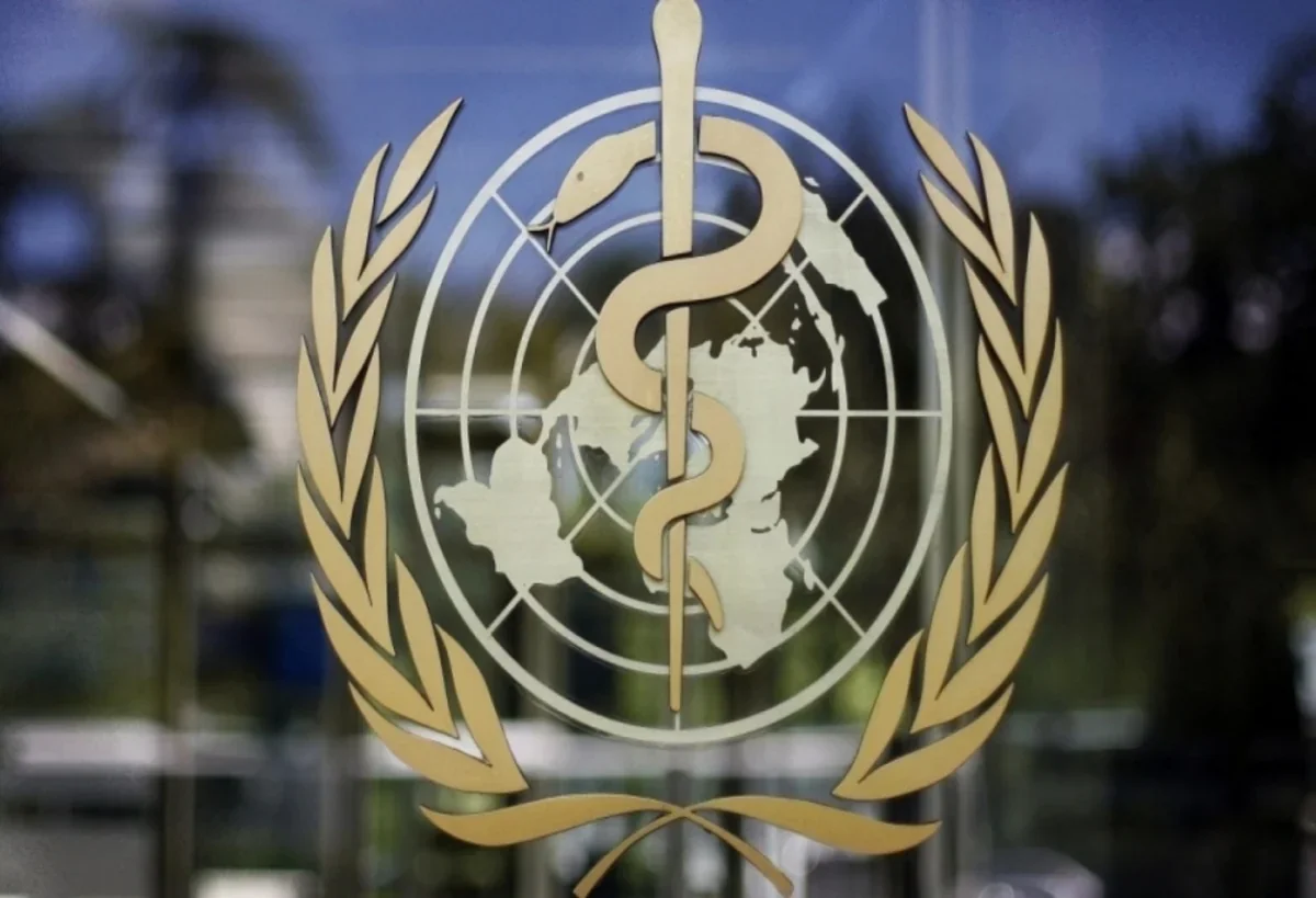 ÜST: Azərbaycan hantavirus bölgəsi deyil