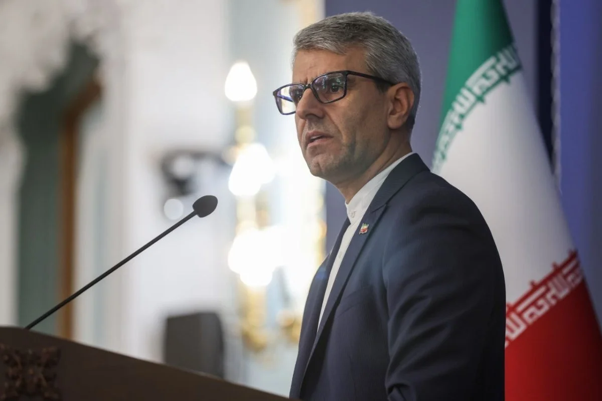 "Vaşinqtonun mövqeyi səbəbindən sənədin təhlili asan olmayacaq"