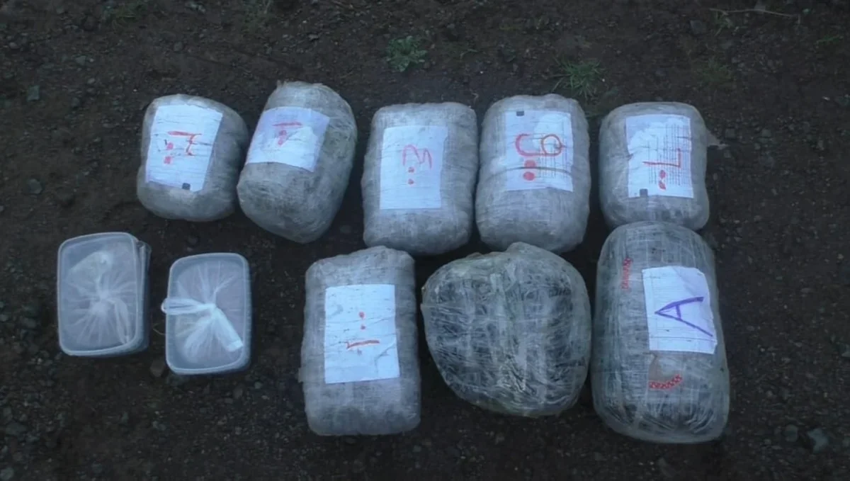 В Хазарском районе Баку изъято 45 кг наркотиков