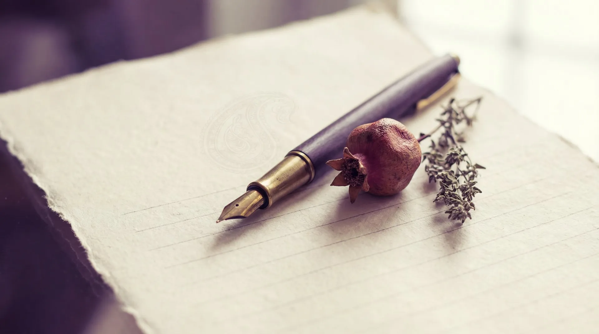 Mirza — Orfoqrafiya Yoxlayıcısı